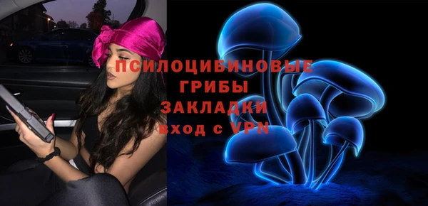 гашиш Богородск