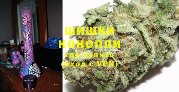 стаф Белокуриха