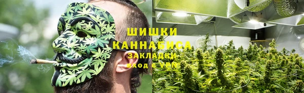 PSILOCYBIN Бронницы