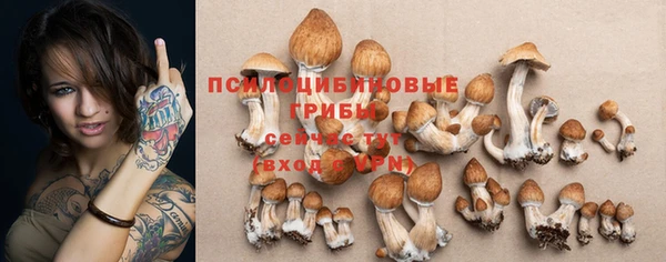 синтетический гашиш Богданович
