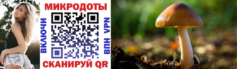 Псилоцибиновые грибы мицелий  где найти   Бронницы 